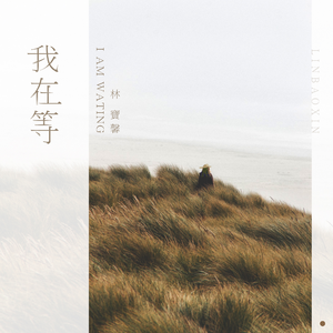 夸克夫妻营免费观看电视剧
