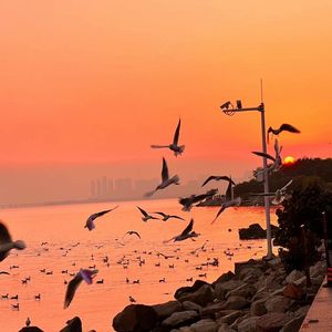 夸克夫妻营免费观看电视剧
